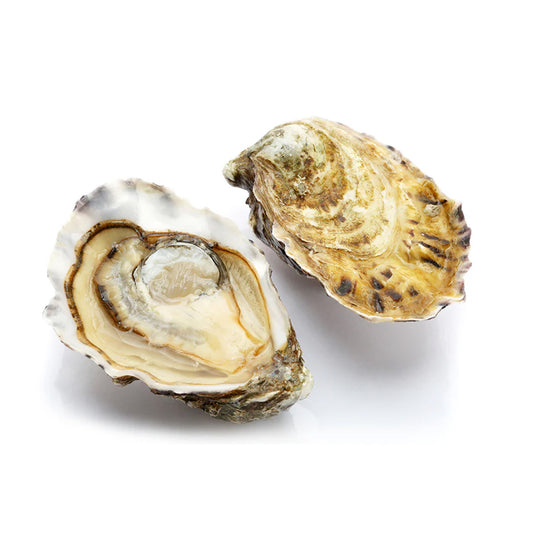 Live Tsarskaya Oyster No.4 (50 pcs/box)