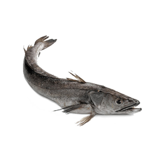 Fresh Wild Hake, 3-4kg/pc