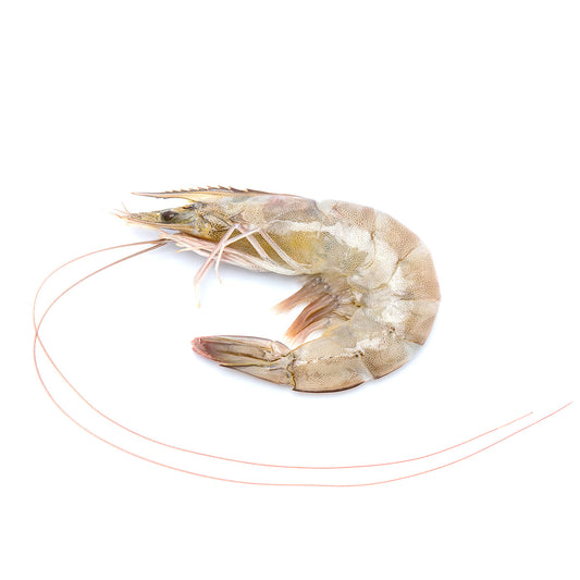 Fresh Pacific Shrimp 25-30 pcs/kg