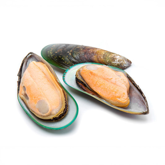 Frozen Greenshell Mussel Whole (Organic) NWZ 20-30 pcs/kg