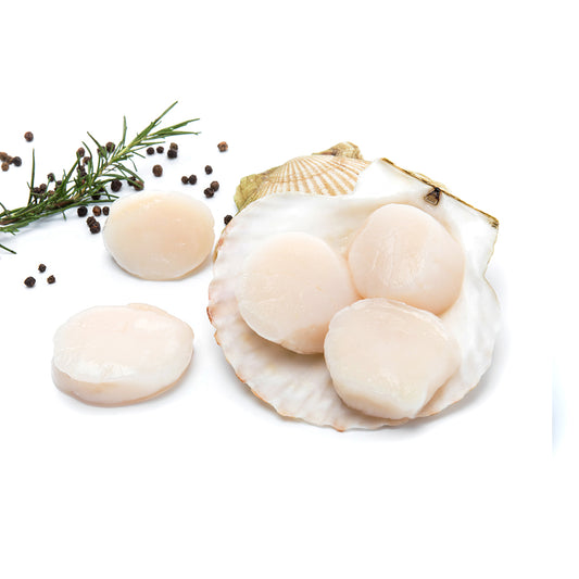 US SCALLOP MEAT Size 10-20 pcs/lb., 1 kg/pk