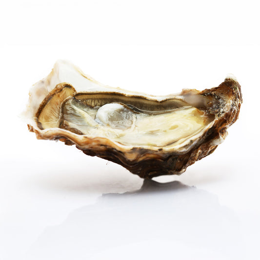 Live Fine de Claire Oyster No.1 (48 pcs/box)