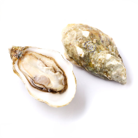 Live Gillardeau Oyster No.1 (48 pcs/box)