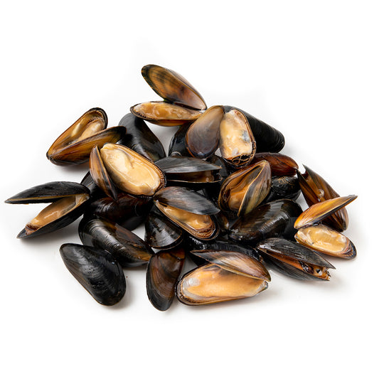 Live Bouchot Morisseau Mussel 5 kg/pk