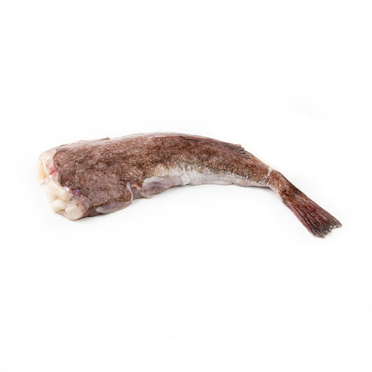 Fresh Wild Monkfish Tail 300-500 g/pc #5794