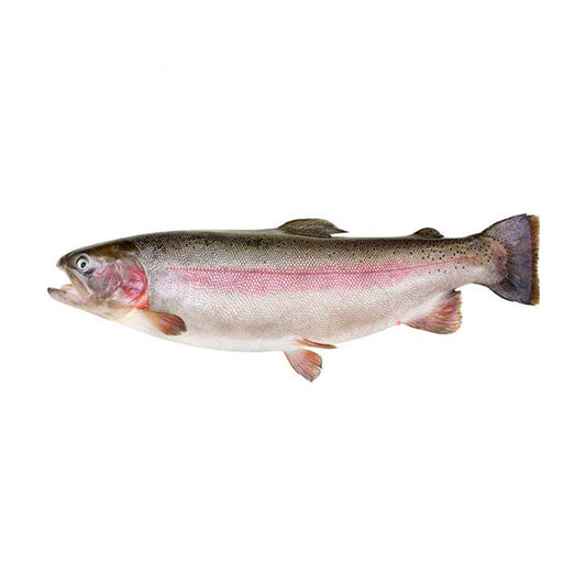 Fresh French Rainbow Trout 200-300g/pc