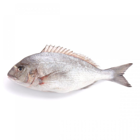 Fresh Mediterranean Seabream [400-600gm/pc] (3kg/bx)