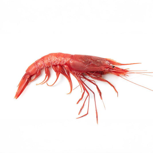 Frozen Wild Red Shrimp Size 0, 25-35 pcs/kg